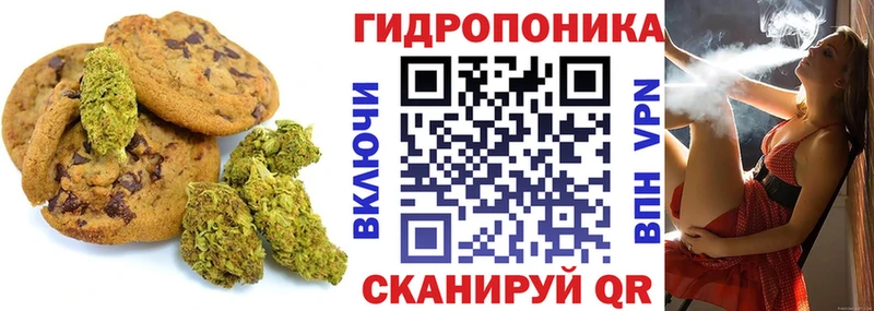 дарнет шоп  Грязовец  Печенье с ТГК марихуана 
