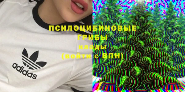ГАЛЛЮЦИНОГЕННЫЕ ГРИБЫ Алексеевка