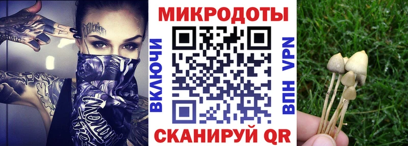 Псилоцибиновые грибы Psilocybe  omg   Грязовец 